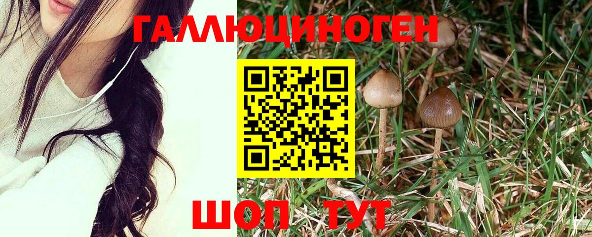 Галлюциногенные грибы GOLDEN TEACHER  Вход с VPN  Старая Купавна 